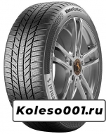 Continental ContiWinterContact TS 870 P 235/55 R17 99H
