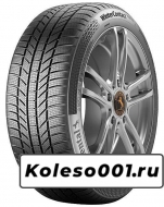 Continental ContiWinterContact TS 870 P 205/60 R16 92H